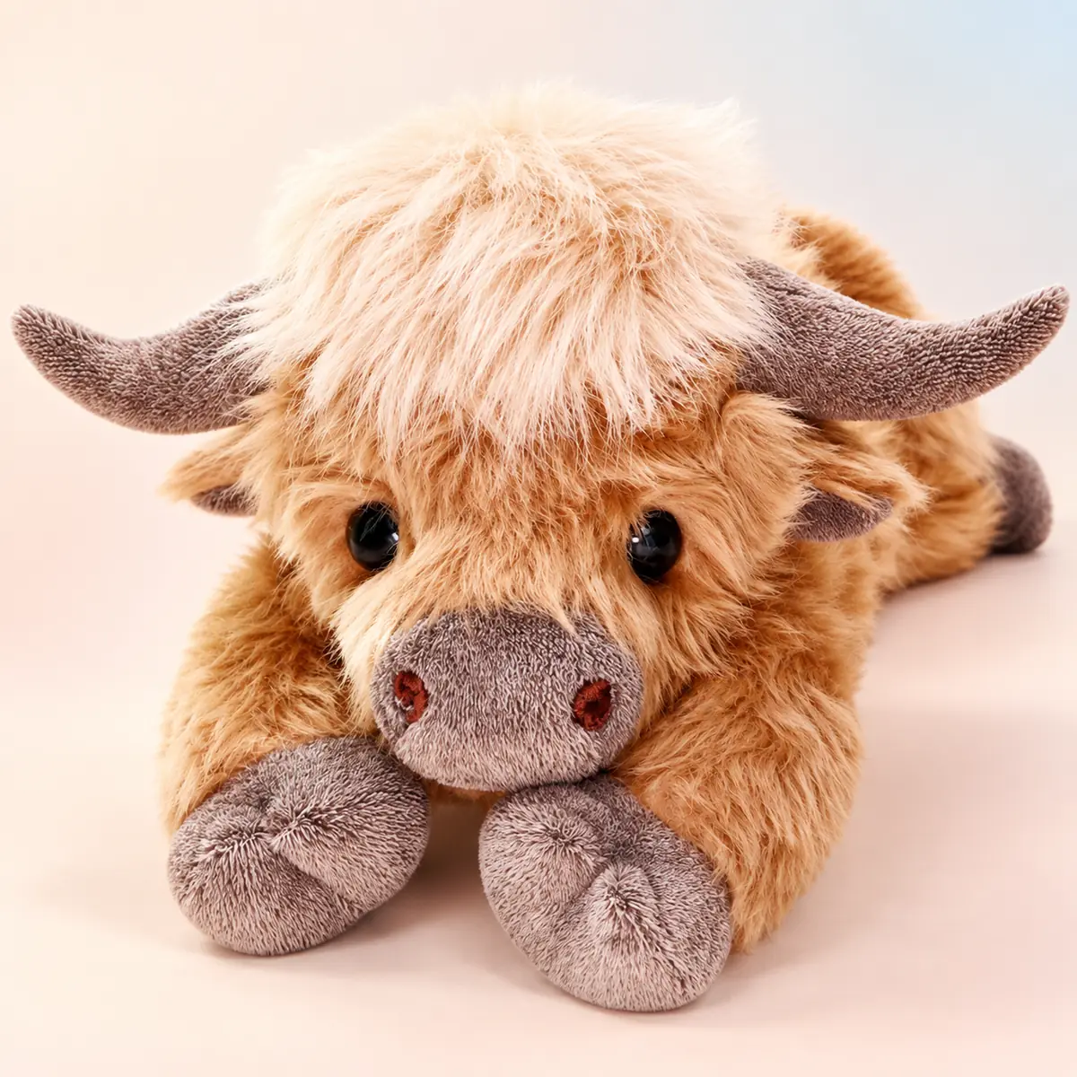 Maple, the brown Highland cow weighted plush, lying front-on against a soft peach studio background